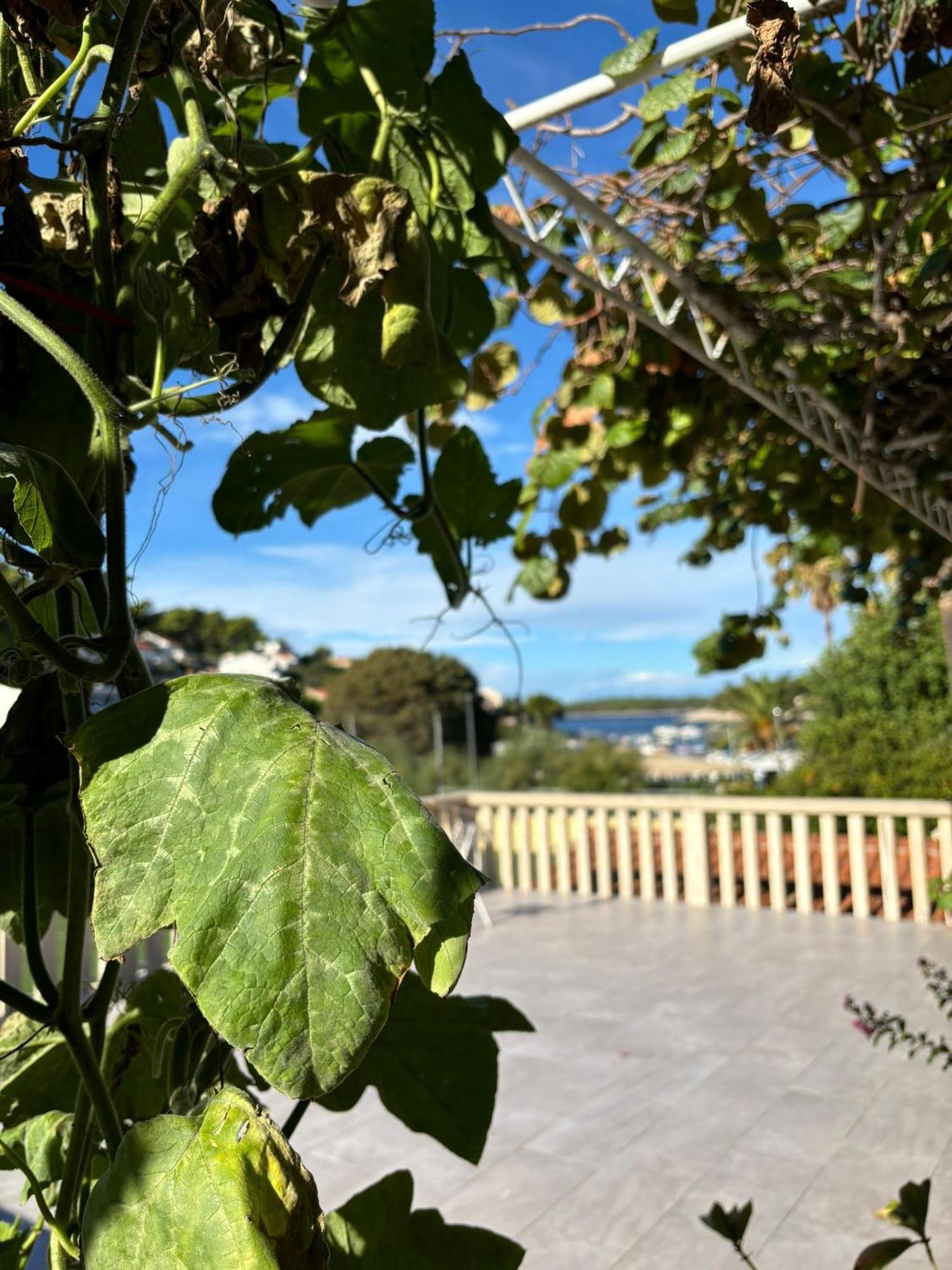 Apartments Fora - Hvar Хвар Екстер'єр фото